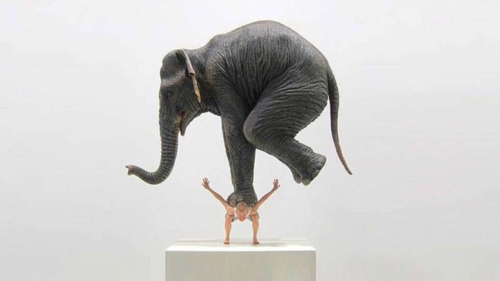 elefant man